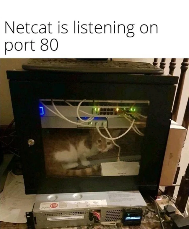 Netcat is listening on port 80